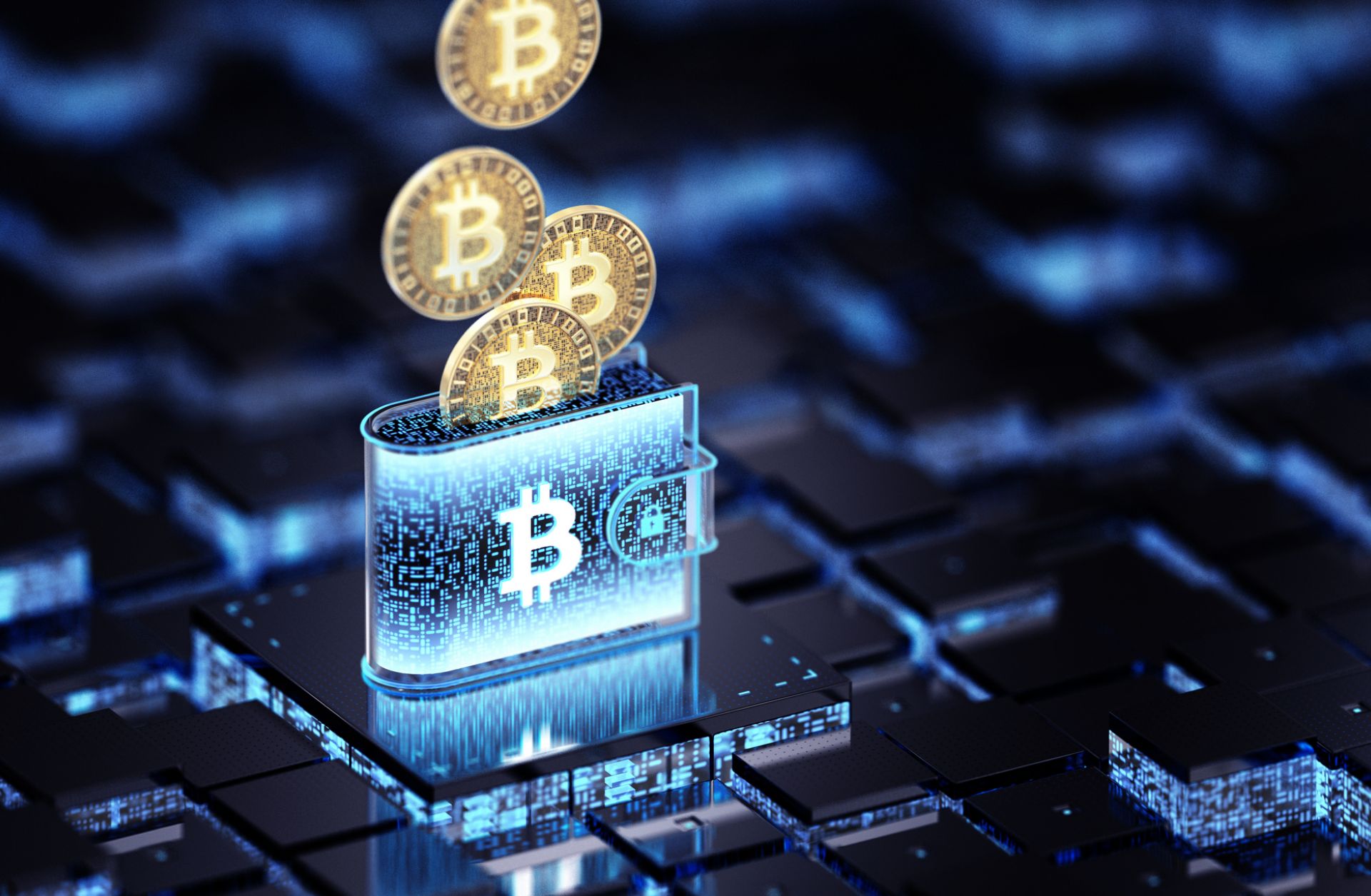 A visualization of bitcoin
