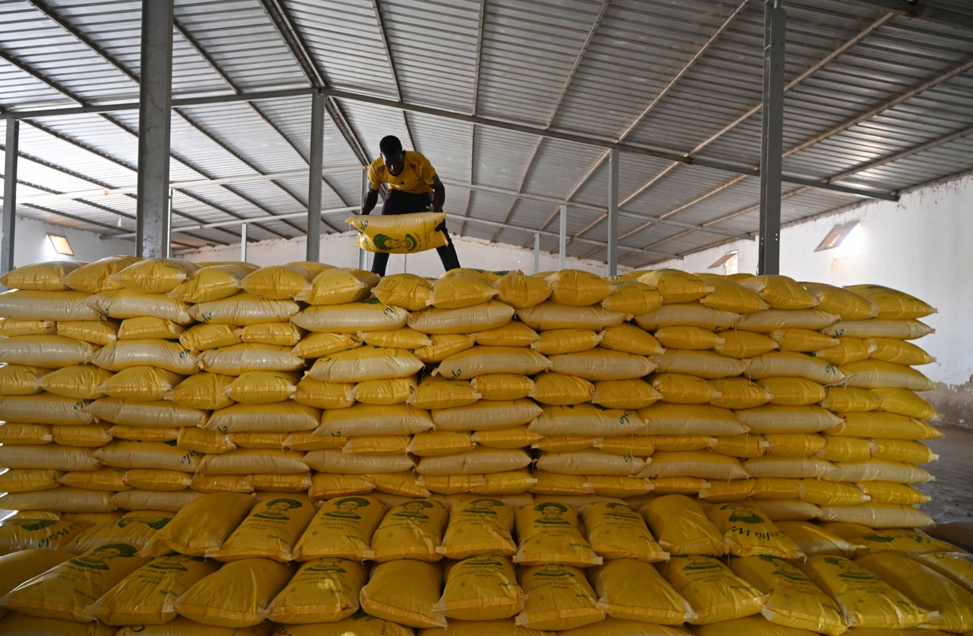 A farm worker packs sacks of rice at a mill in Senegal on Oct. 27, 2022. Africa is a major rice importer, while India, one of the world’s main rice producers, recently announced restrictions on its exports. 