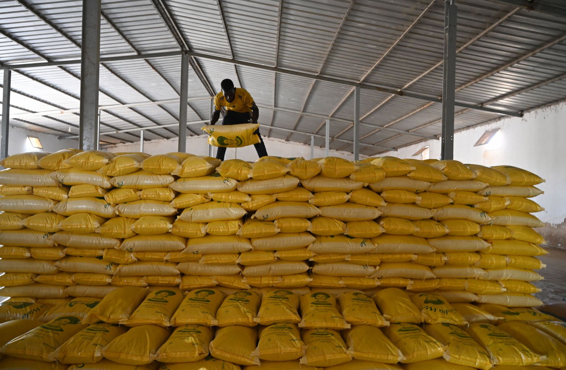 A farm worker packs sacks of rice at a mill in Senegal on Oct. 27, 2022. Africa is a major rice importer, while India, one of the world’s main rice producers, recently announced restrictions on its exports. A farm worker packs sacks of rice at a mill in Senegal on Oct. 27, 2022. Africa is a major rice importer, while India, one of the world’s main rice producers, recently announced restrictions on its exports.
