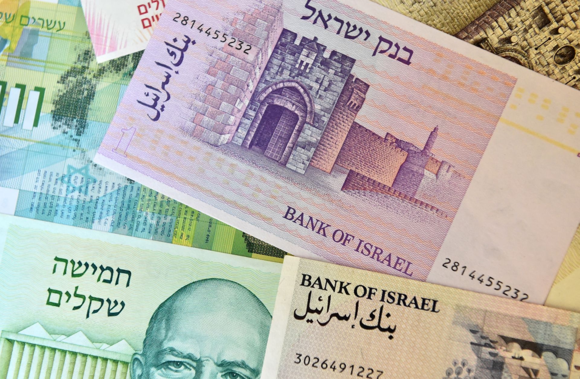 A photo of Israeli banknotes.