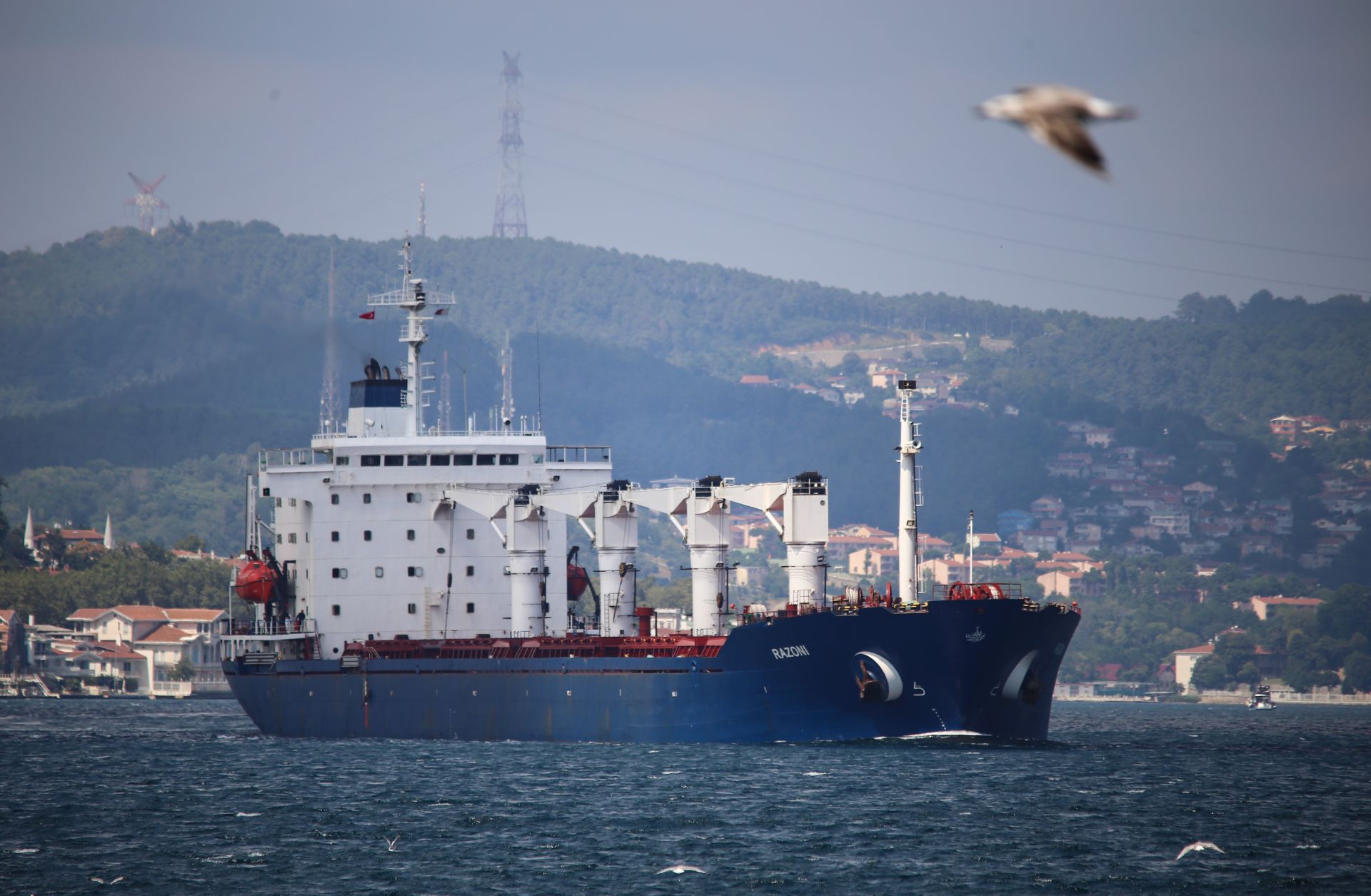The cargo ship Razoni, which departed from Ukraine's Odesa Port within the framework of the now-defunct Black Sea Grain Initiative, is pictured in the Bosphorus Strait on Aug. 3, 2022, in Istanbul, Turkey.