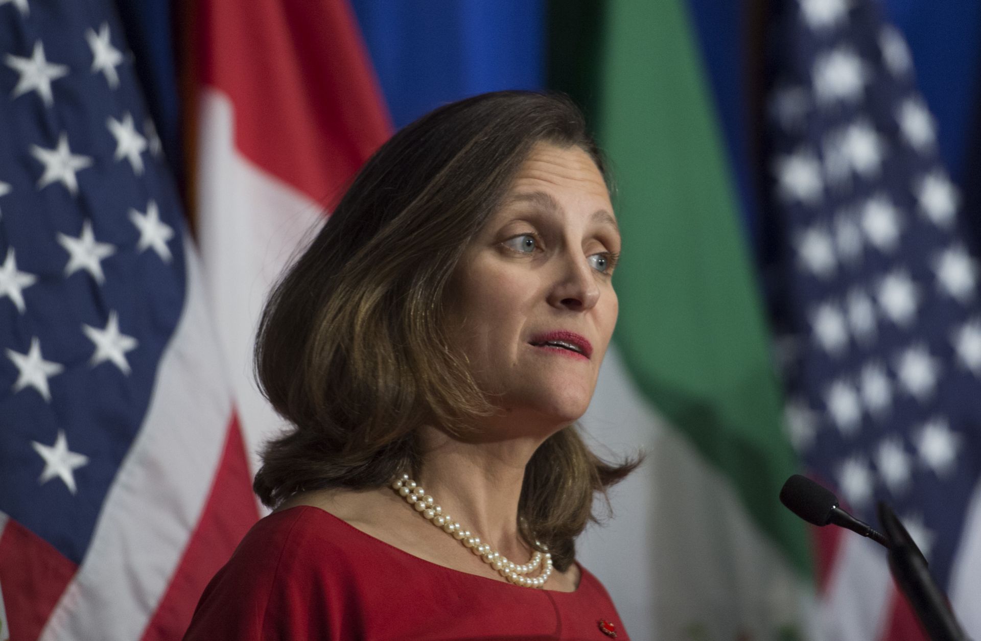 Canadian Foreign Minister Chrystia Freeland speaks during a press conference at the conclusion of the fourth round of negotiations for a new North American Free Trade Agreement (NAFTA) in 2017. Canada's trade case against U.S. trade remedy measures in the World Trade Organization will be at the forefront of global pushback against Washington's protectionist trade agenda.