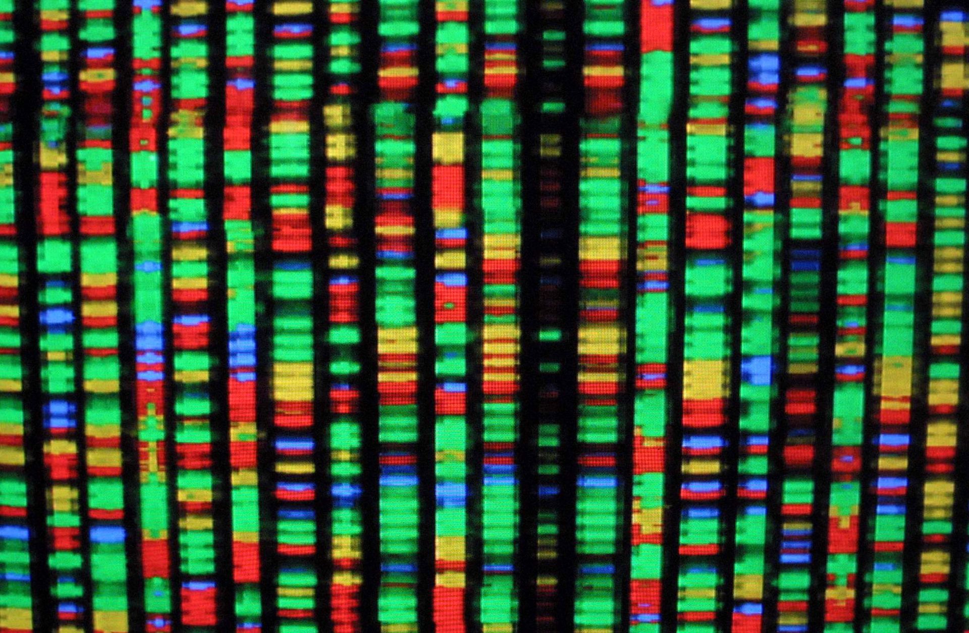 A digital representation of the human genome.