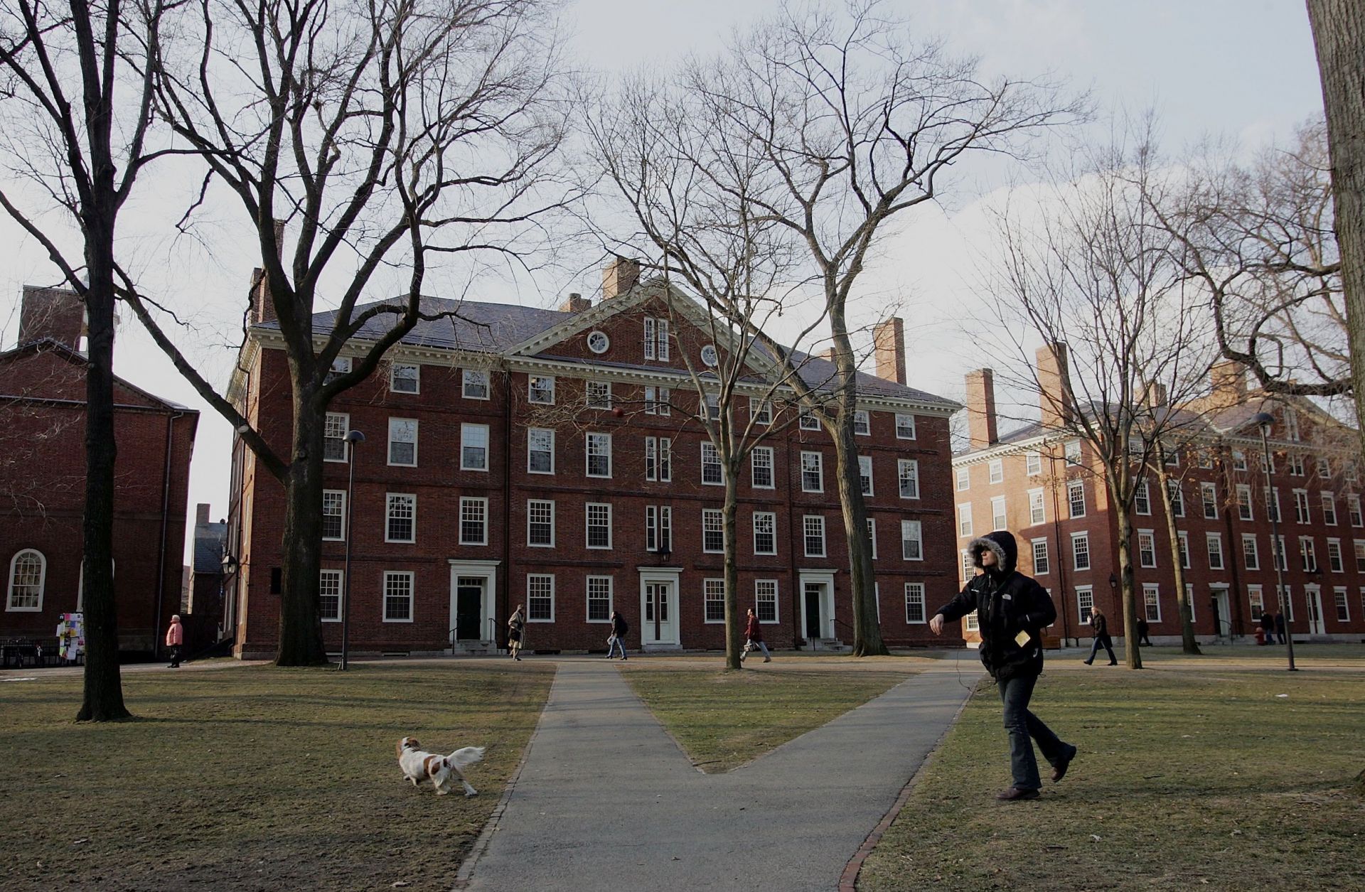 A Harvard education, and the prestige that goes with it, has made the elite U.S. university a favorite of wealthy foreign elites.