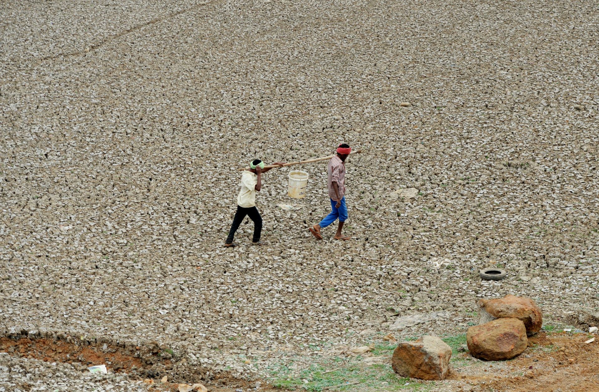 Workers carry water collected from Puzhal lake on June 20, 2019. Puzhal is one of four main reservoirs that supply the southern Indian city of Chennai with water; all are running dry.