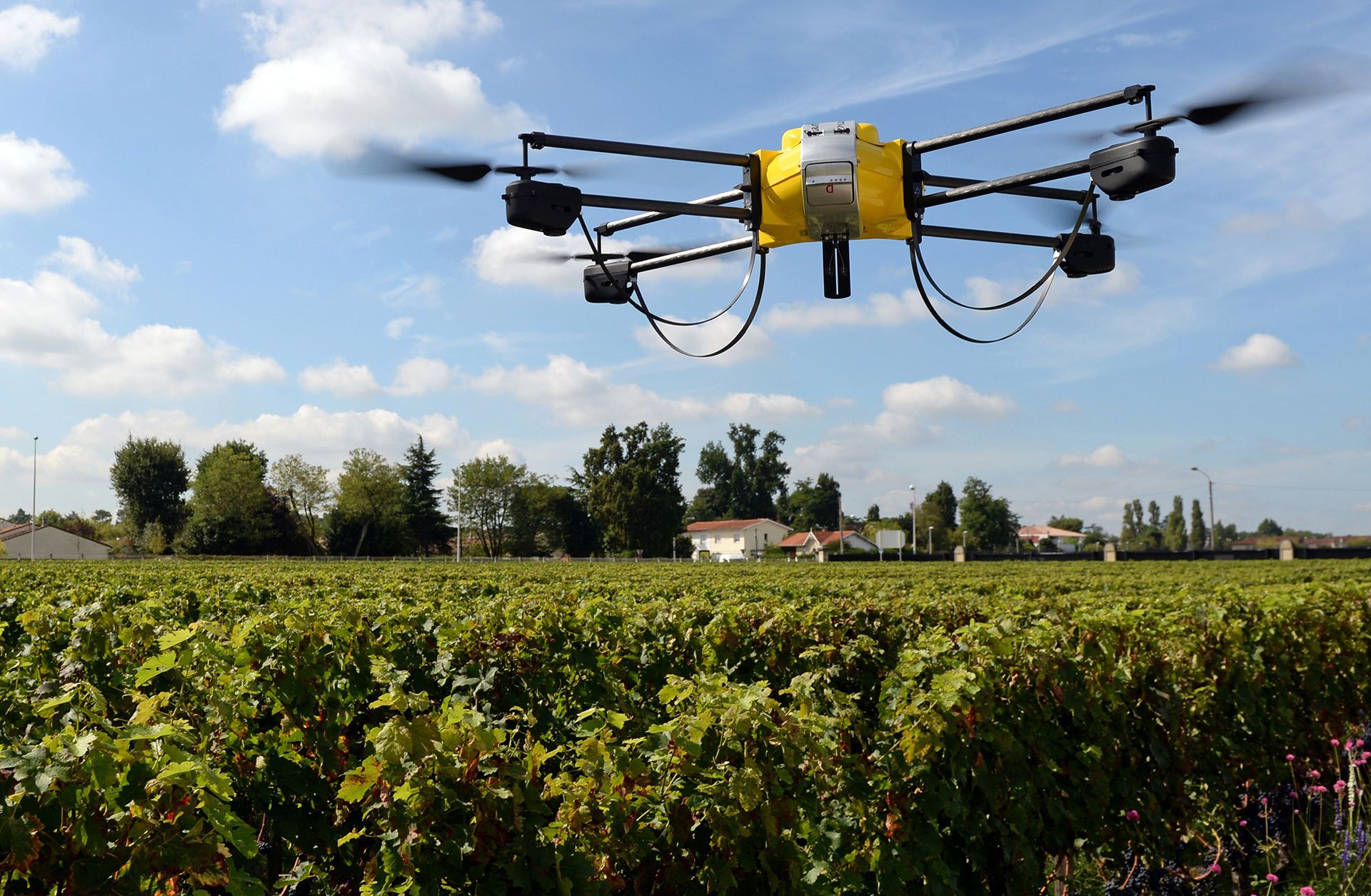 The Fertile Common Ground Between Technology and Agriculture