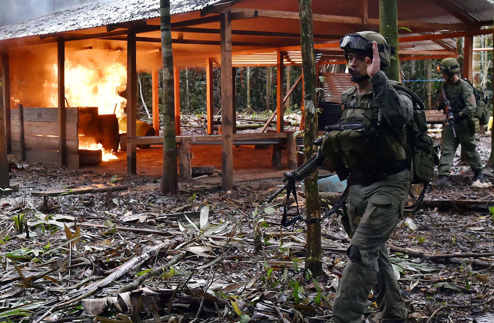 Colombia's Trouble in Uprooting the Cocaine Trade