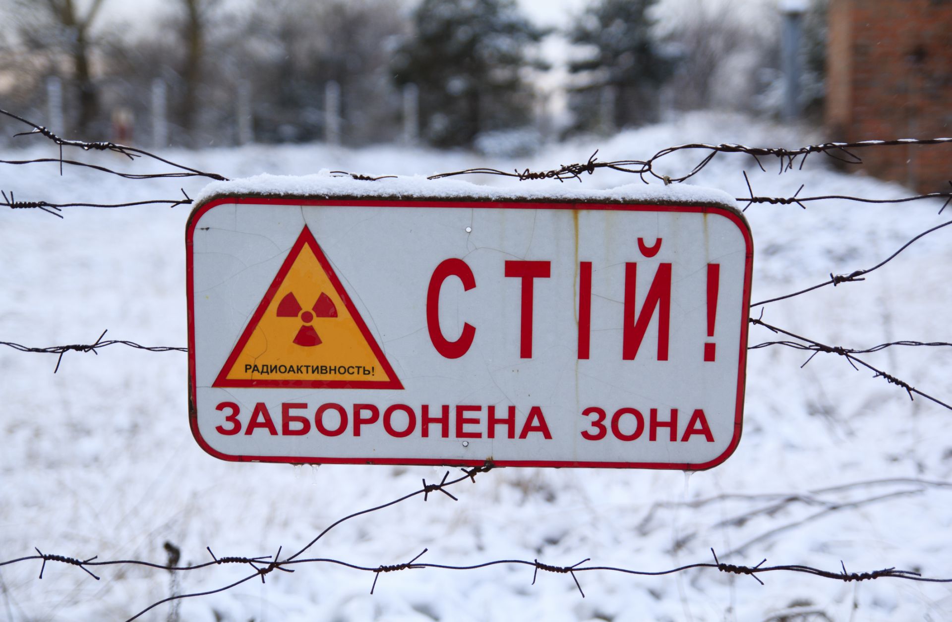Despite the Chernobyl nuclear plant accident of 1986, Russia has become the dominant player in the nuclear power export game.