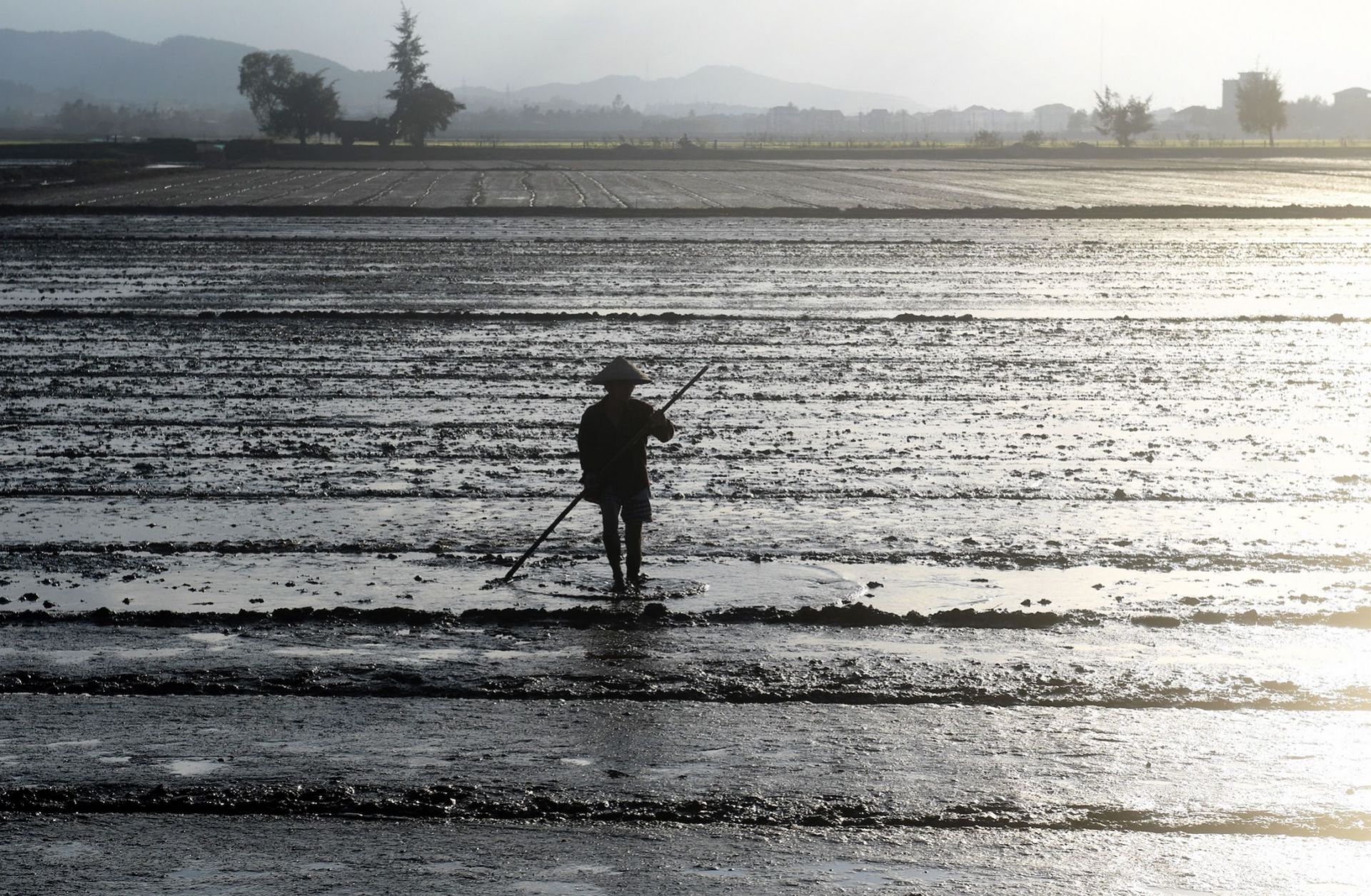 A farmer works in a rice field on the outskirts of the central Vietnamese city of Hue on Jan. 17. 