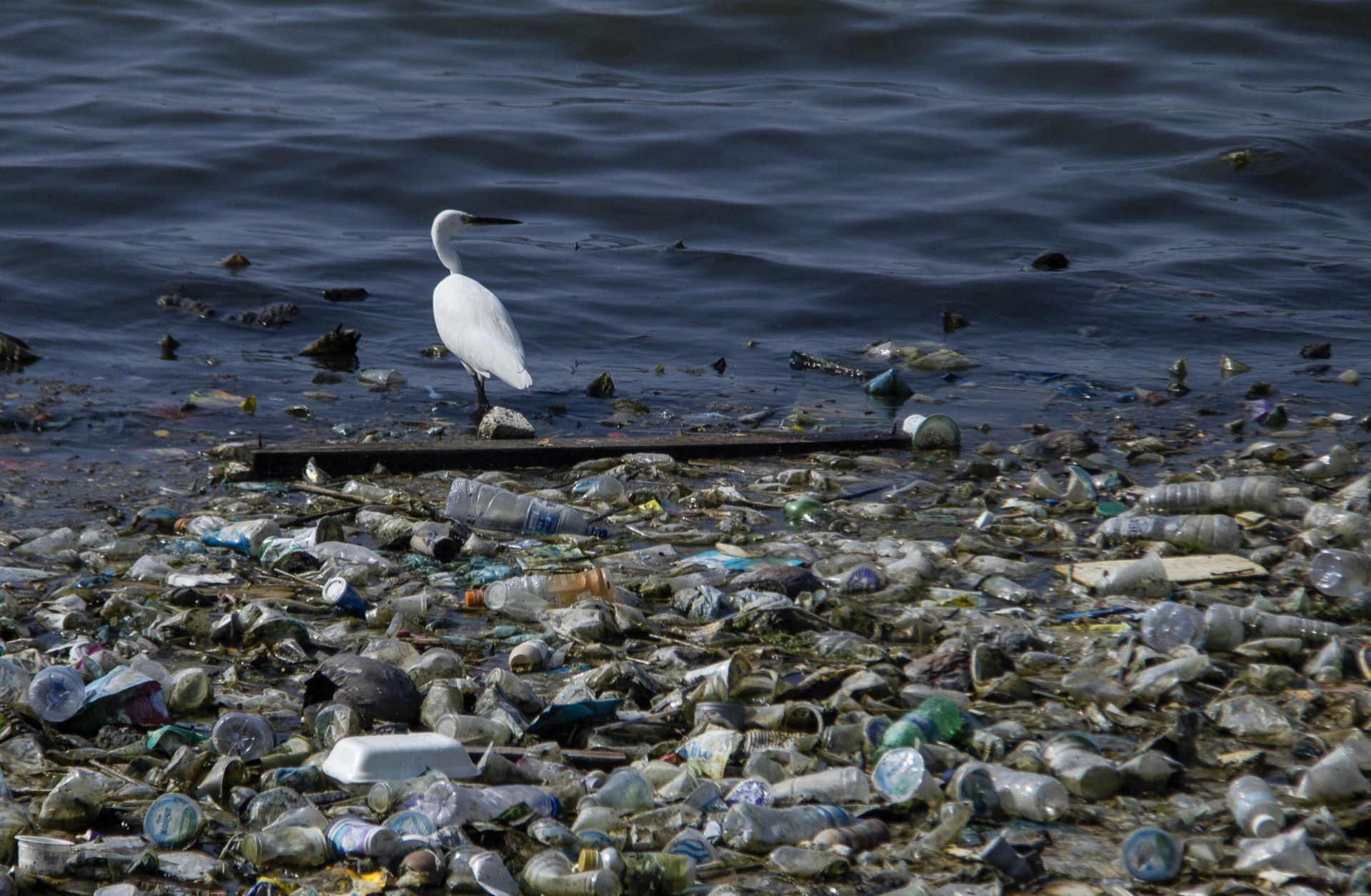Plastic waste litters the shore of a reservoir in Lhokseumawe, Indonesia, on June 28, 2019.