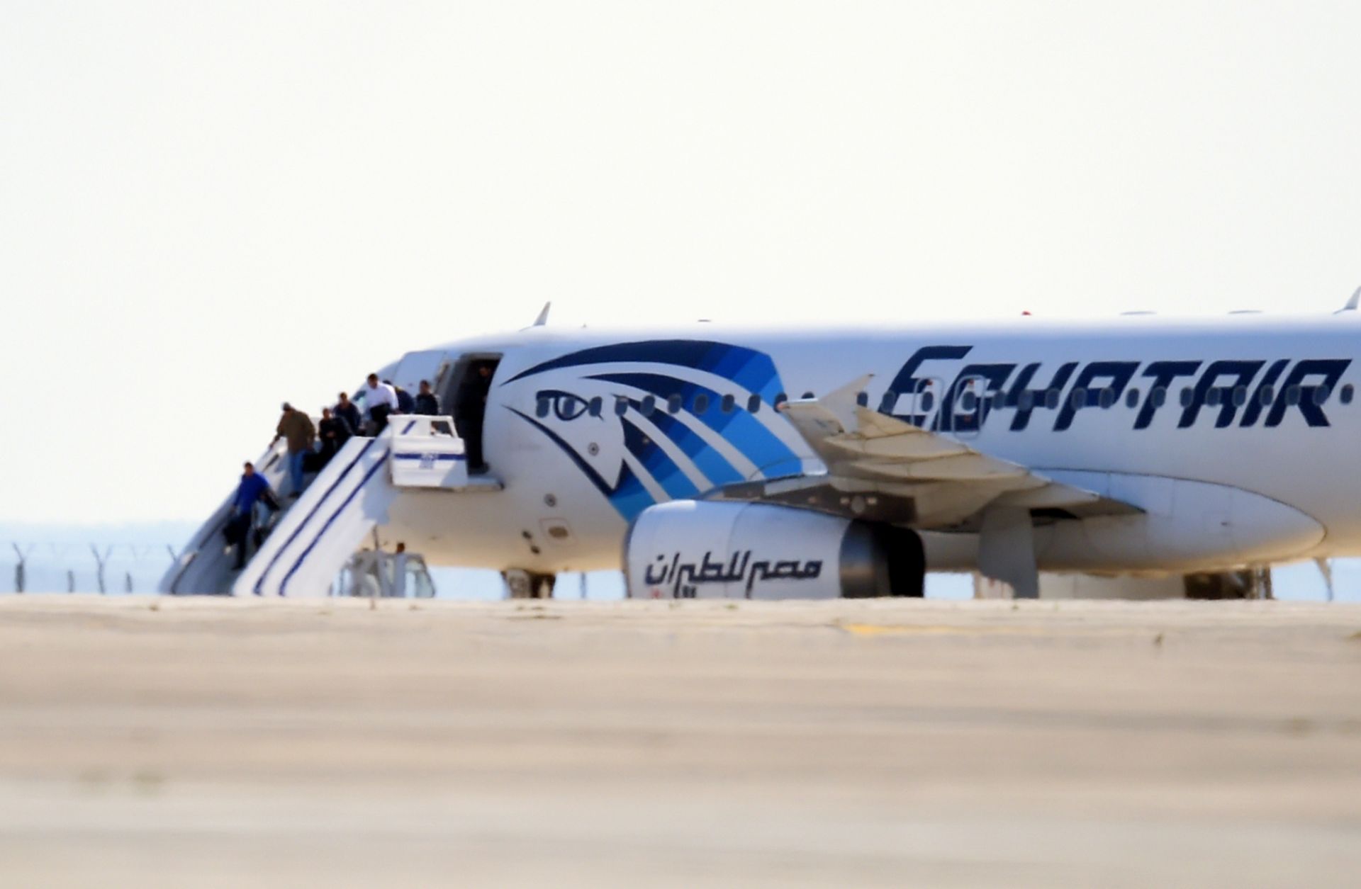 Самолет в египет. Airbus а320 EGYPTAIR. Рейс 990 EGYPTAIR. Самолёт президента Кипра. EGYPTAIR фото.