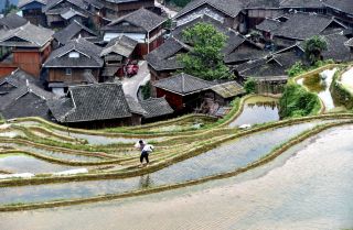 A farmer walks along rice paddy fields in Congjiang, a city located in China's southwestern Guizhou province, on April 24, 2021. 