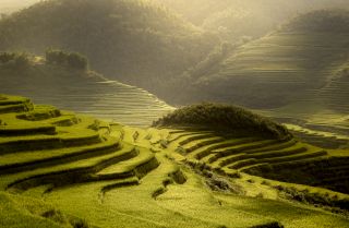 Centered on the western rim of the Pacific Ocean, the Asia-Pacific region includes the easternmost countries of continental Asia as well as the archipelagos that punctuate the coast. 