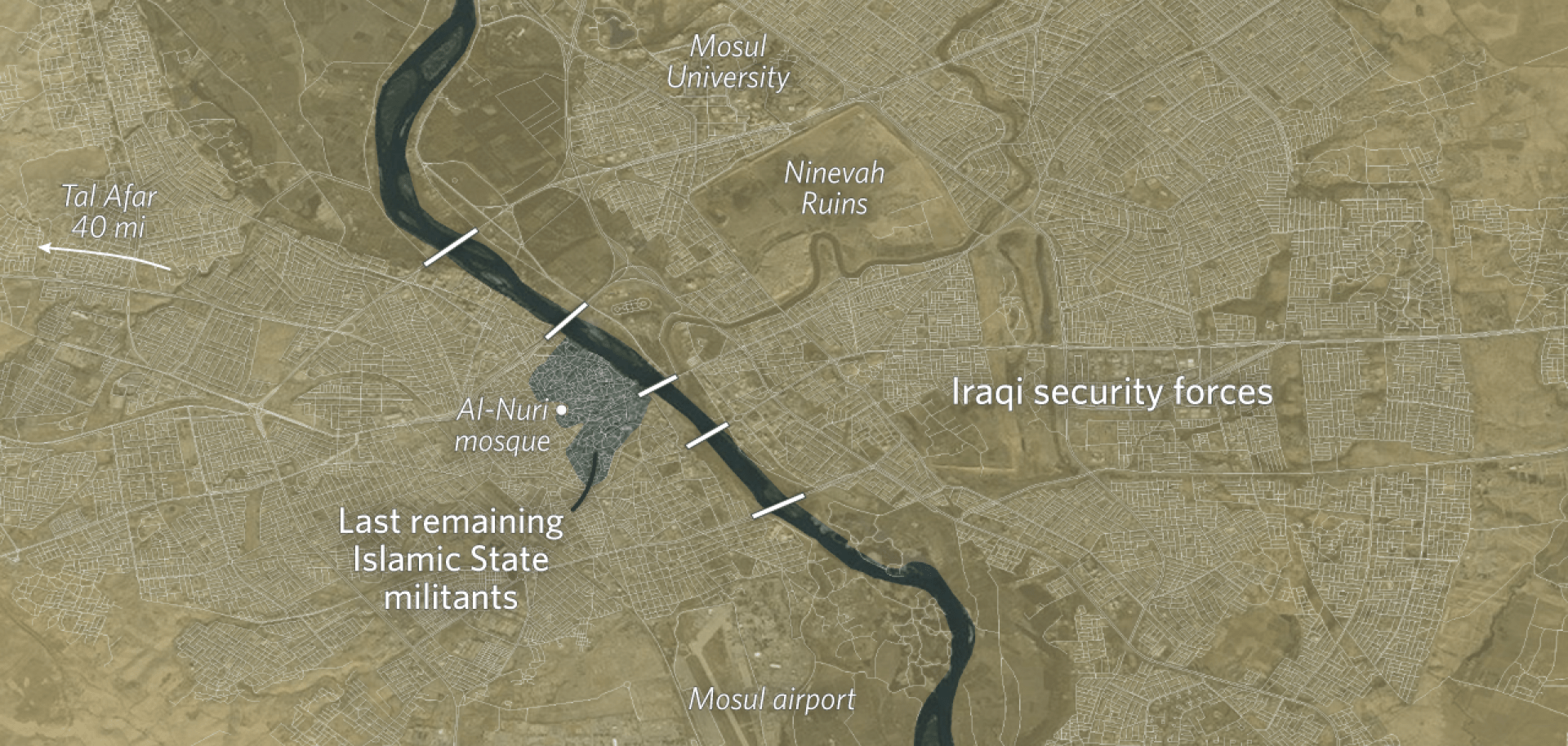 Stratfor Middle East and North Africa Analyst Emily Hawthorne examines the progress of the Iraqi operation to retake Mosul.