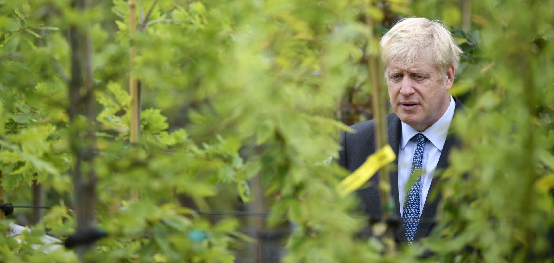 Boris Johnson is the new British prime minister. But that doesn't mean he can or will trigger a no-deal Brexit.