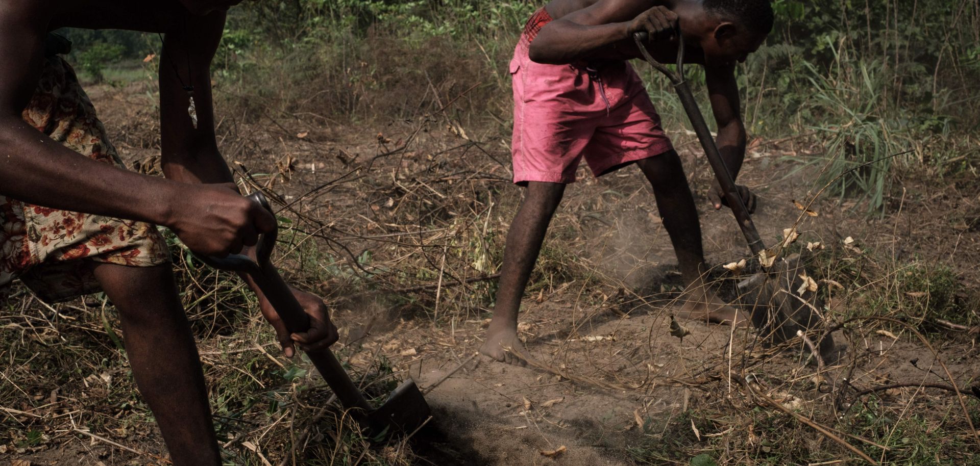 Workers clear land for cassava planting near the village of K-Dere near Bodo, part of the Niger Delta region in Nigeria.