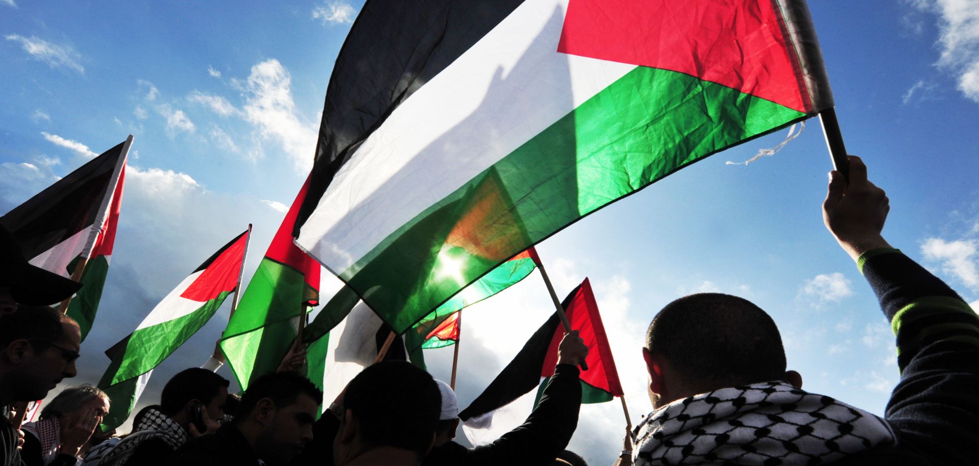 A group of demonstrators wave the Palestinian flag on Dec. 31, 2009.
