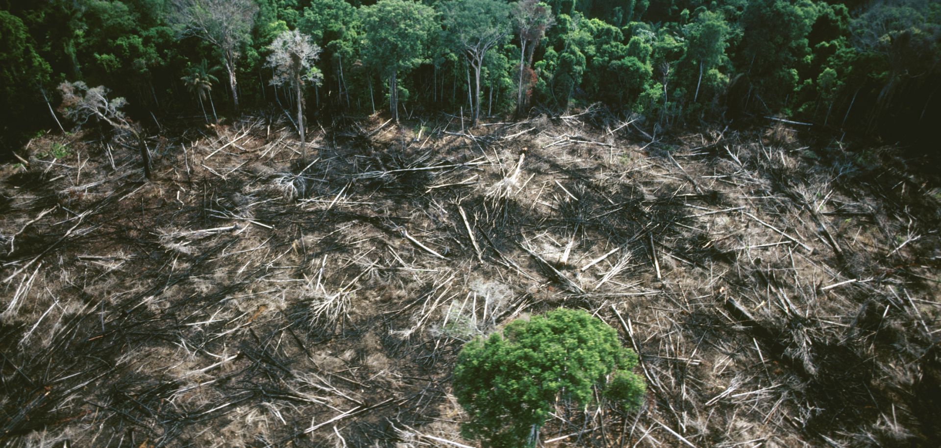 Deforestation in the Amazon rainforest.