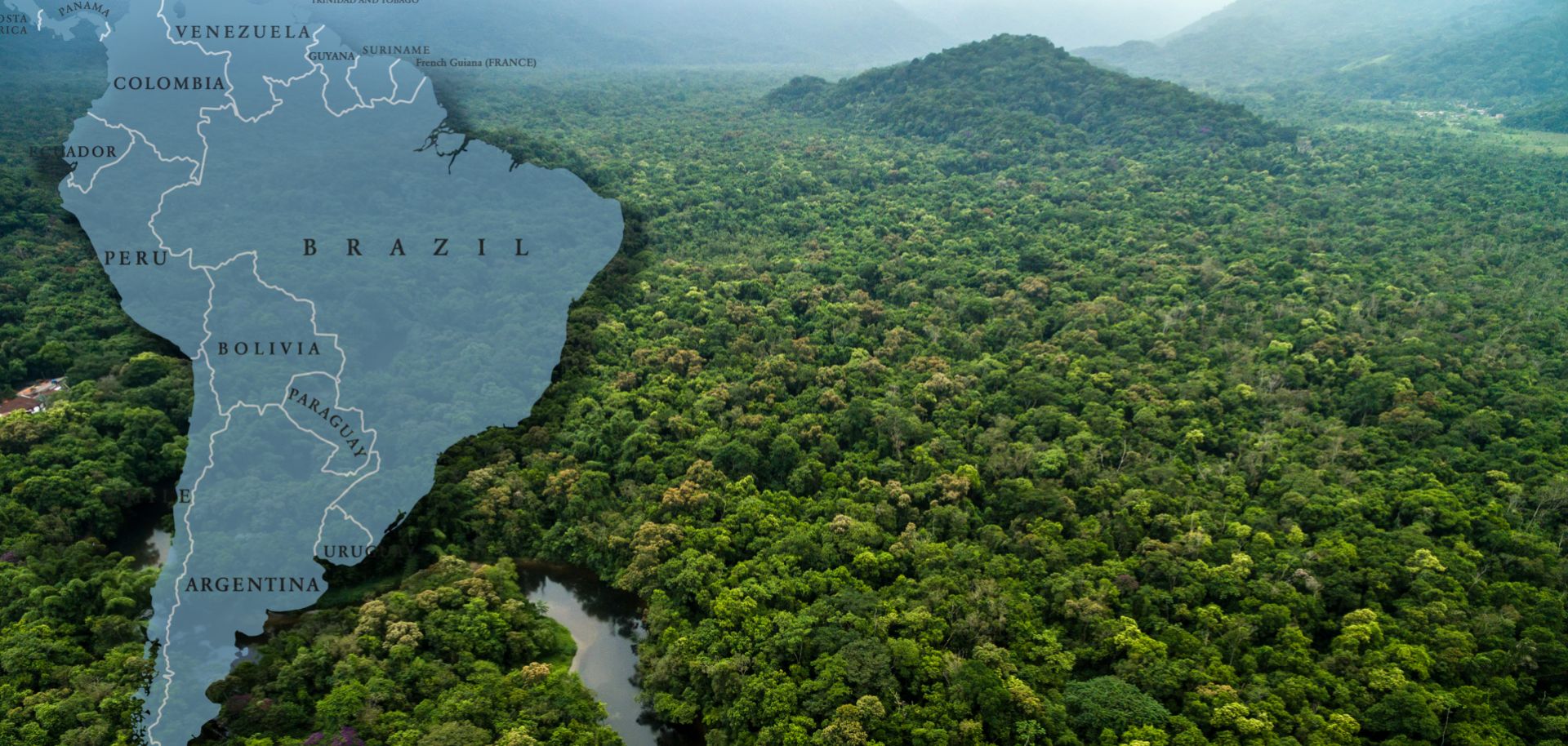 The rainforest covers more than half of Brazil's territory, including its border with seven other countries. Yet it is home to only about 12 percent of Brazil's population.