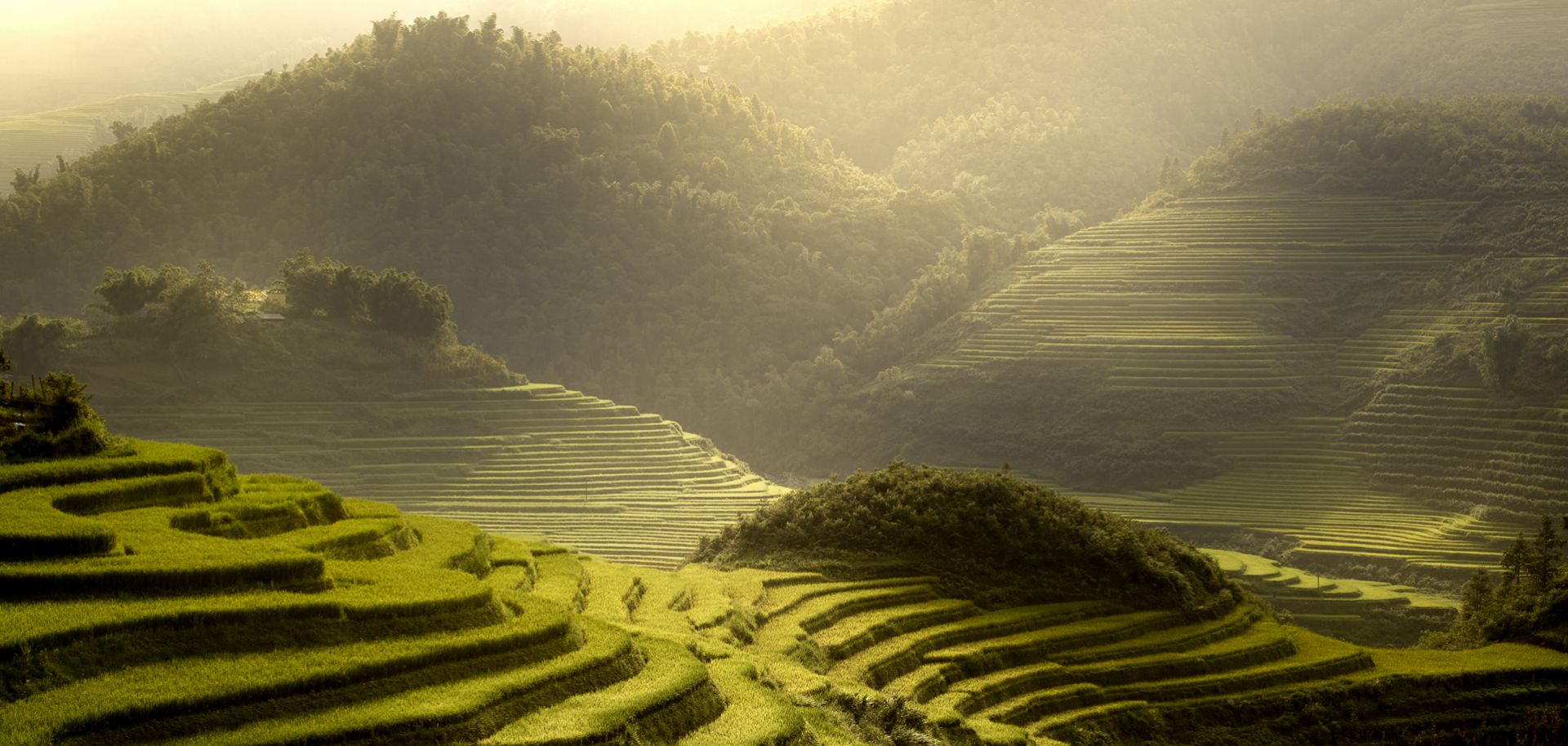 Centered on the western rim of the Pacific Ocean, the Asia-Pacific region includes the easternmost countries of continental Asia as well as the archipelagos that punctuate the coast.