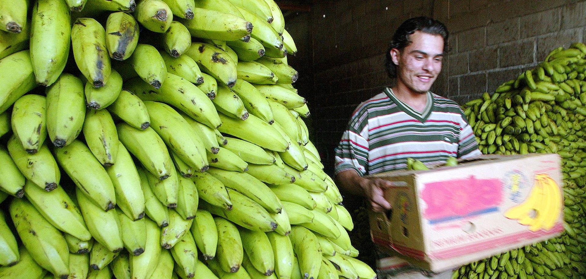 This photo taken in 2006 shows a worker in Honduras carrying a box of bananas in a warehouse.