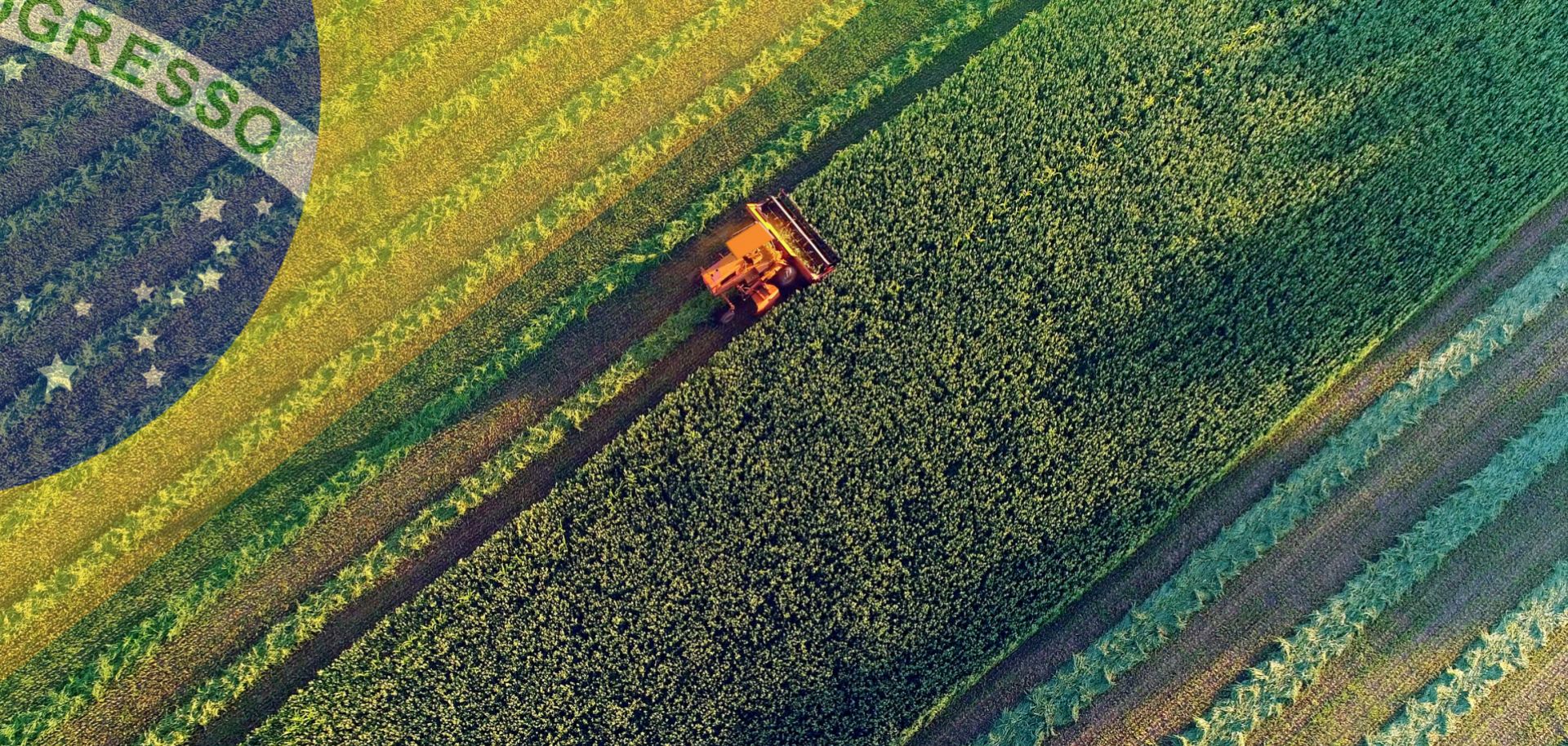 Using the rise of Brazil's agricultural sector as an example, the African continent could take advantage of its wealth of arable land and fertile soil.