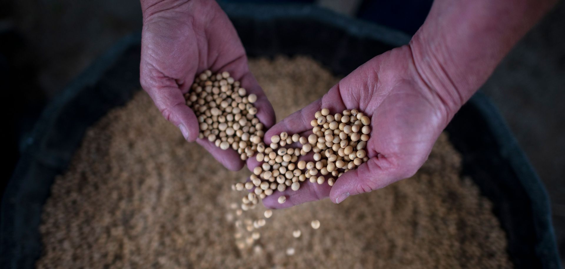 A U.S. farmer in Nebraska holds soybeans from a recent harvest on May 5, 2019.