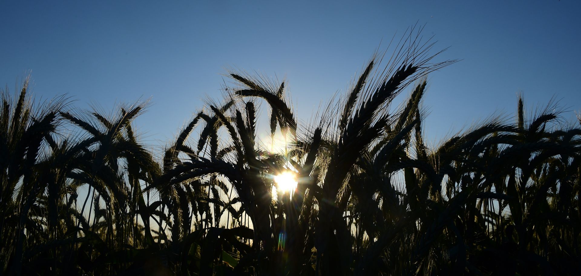 Farmers' political clout may be waning, but agriculture is still a key talking point in trade deals.