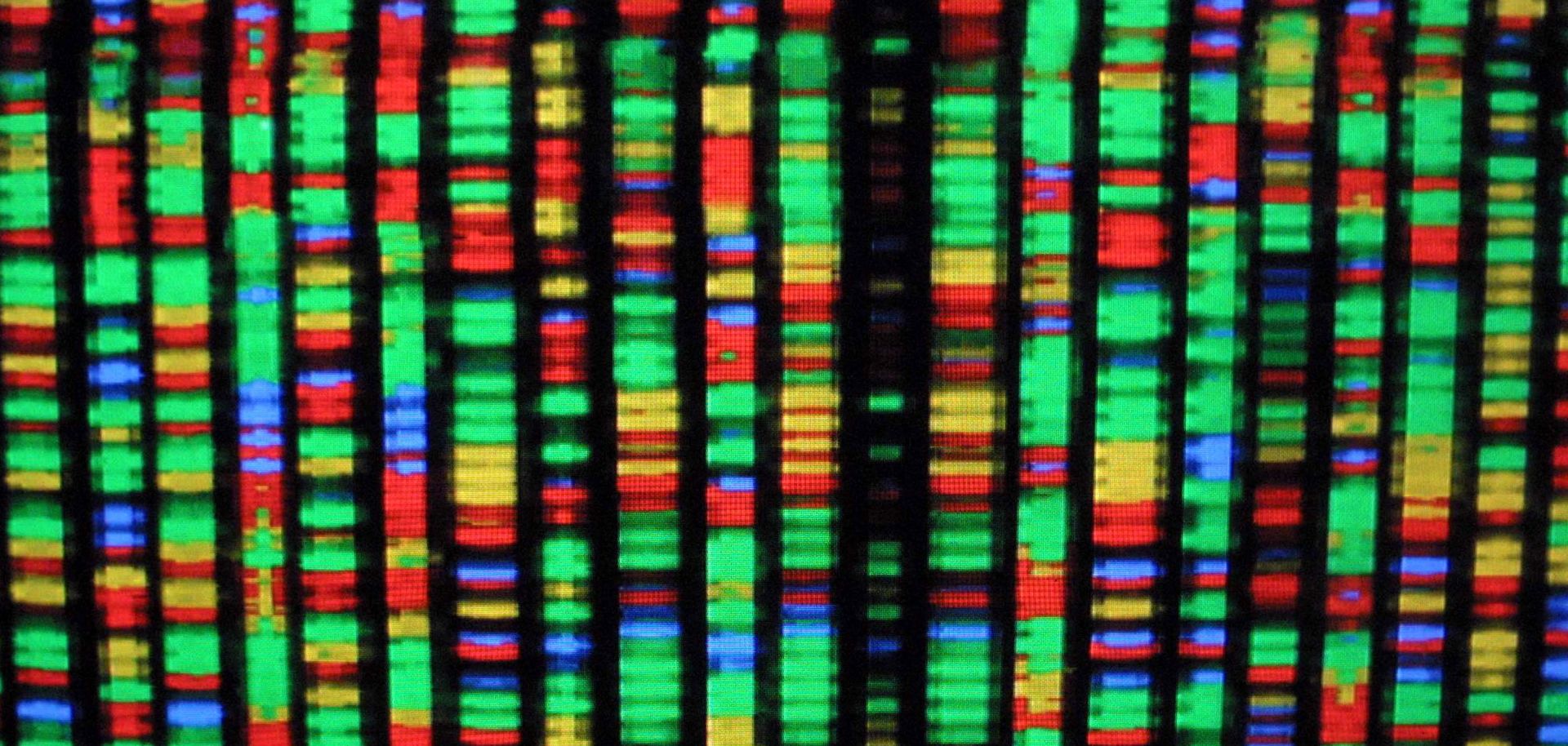 A digital representation of the human genome.