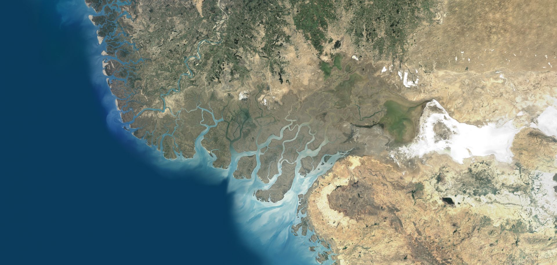 A composite satellite image of the Indus River Delta in Pakistan, where the Indus River flows into the Arabian Sea.