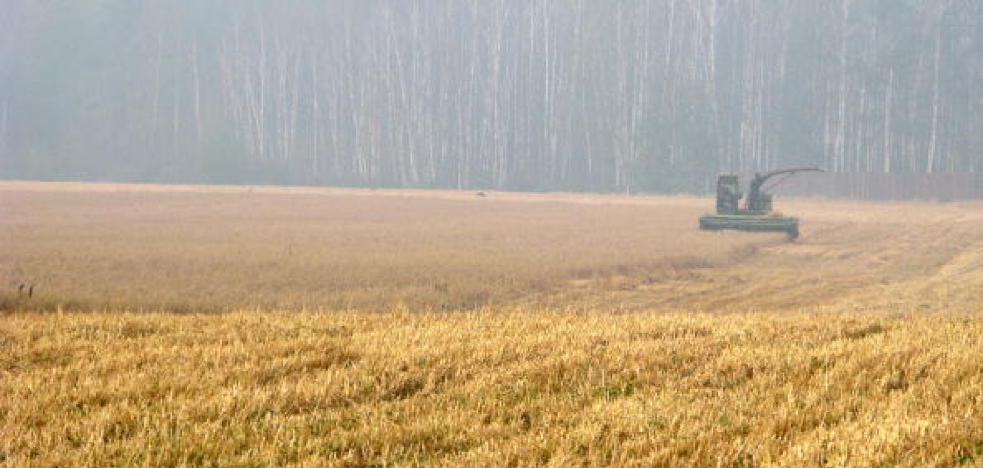Former Soviet Wheat Producers Face Shortfalls