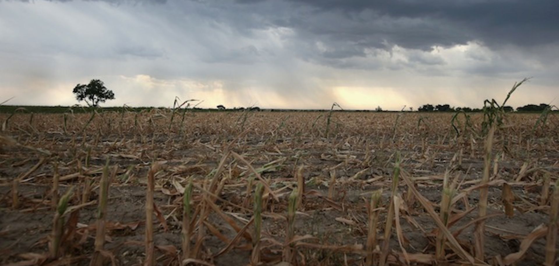 Why Great Plains agriculture is particularly vulnerable to drought