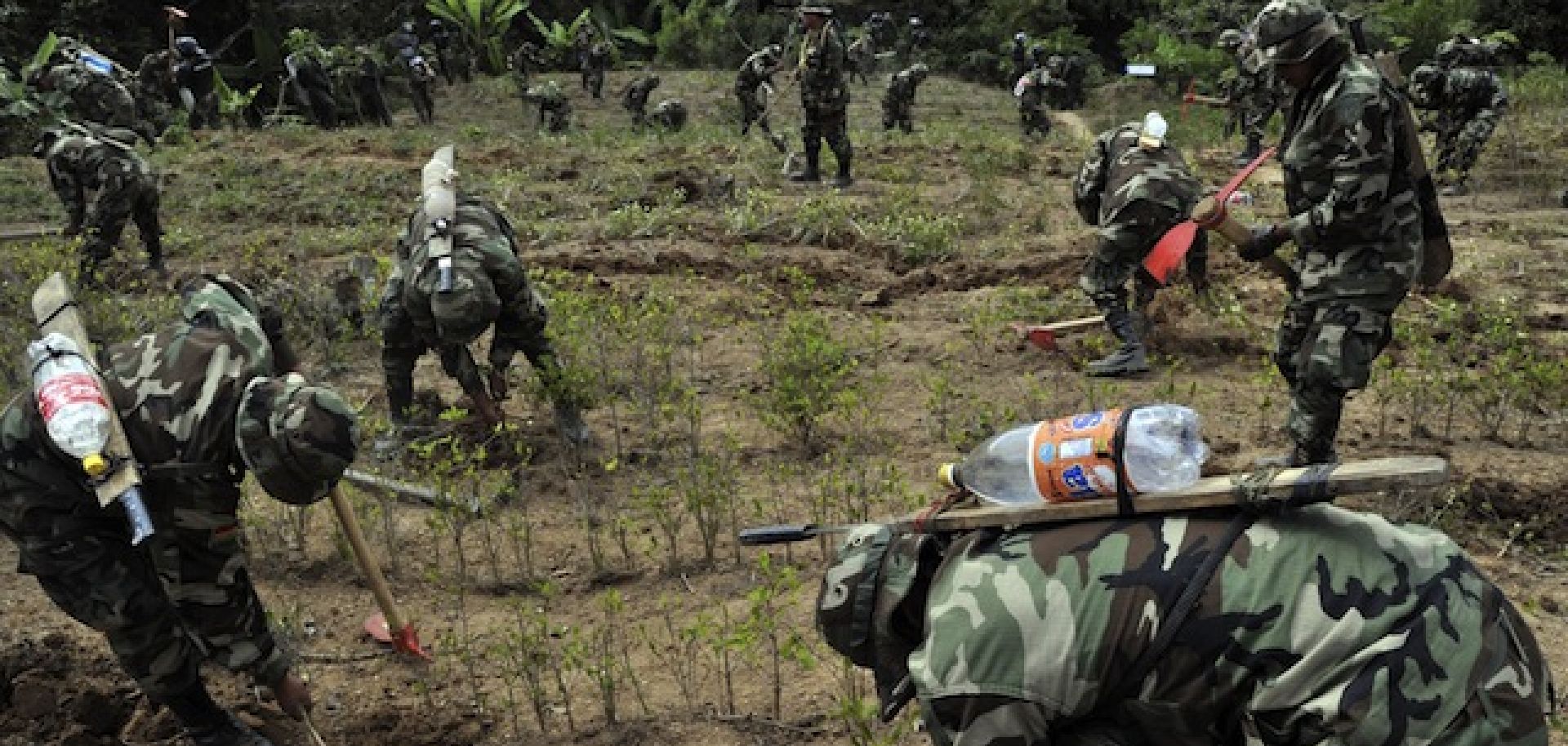 The Effect of Bolivian Elections on Coca Production