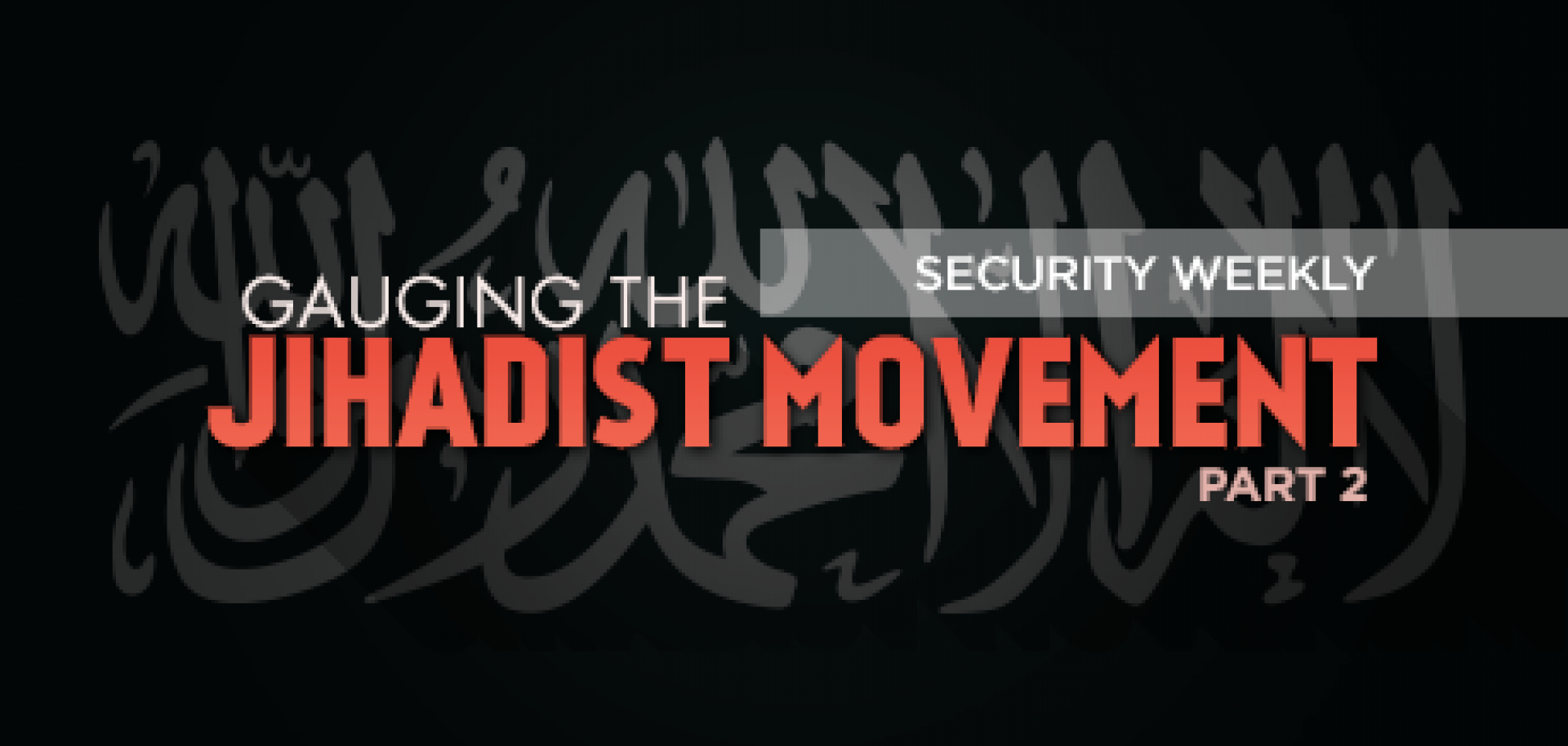 Gauging the Jihadist Movement, Part 2: Insurgent and Terrorist Theory