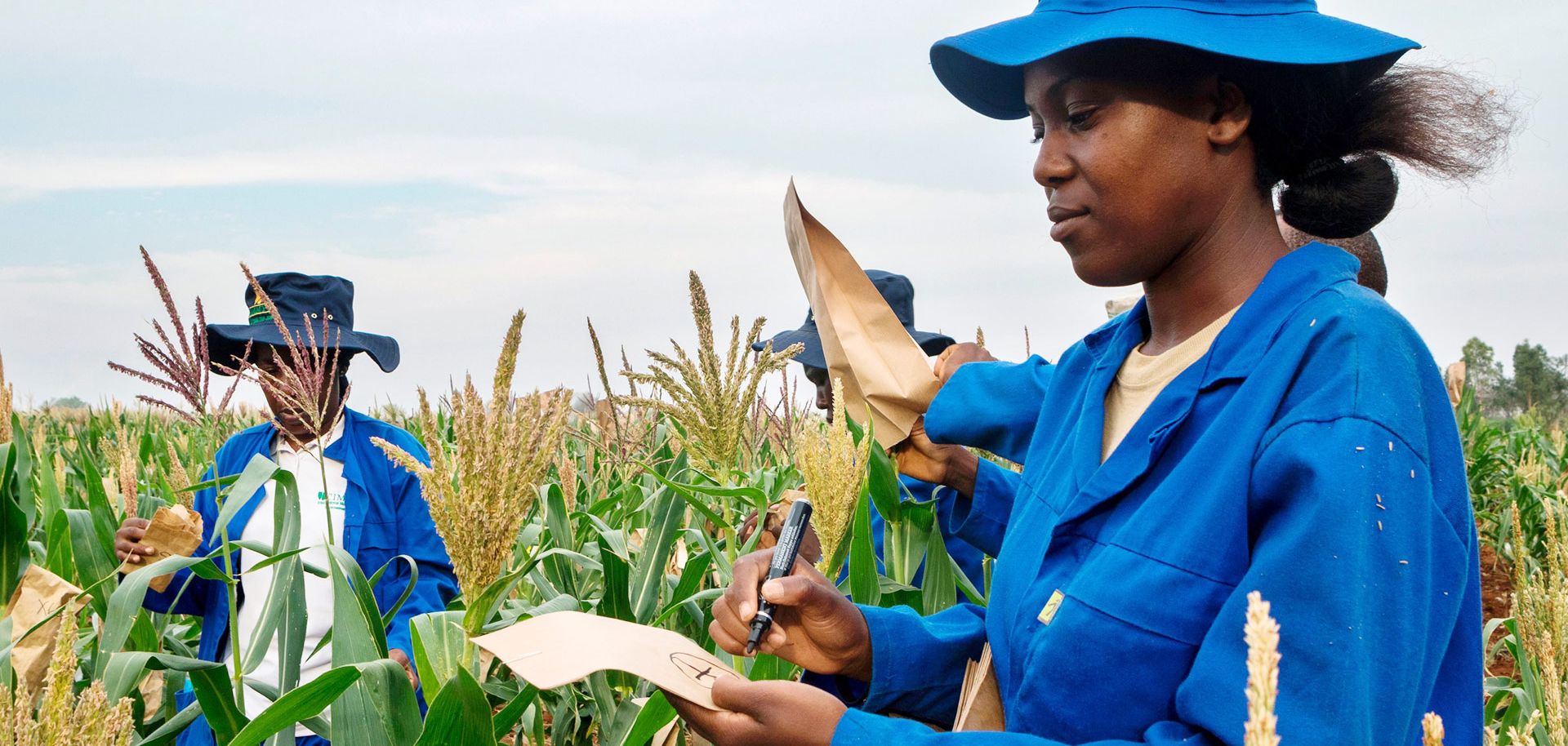 Planting The Seeds Of Growth In African Agriculture