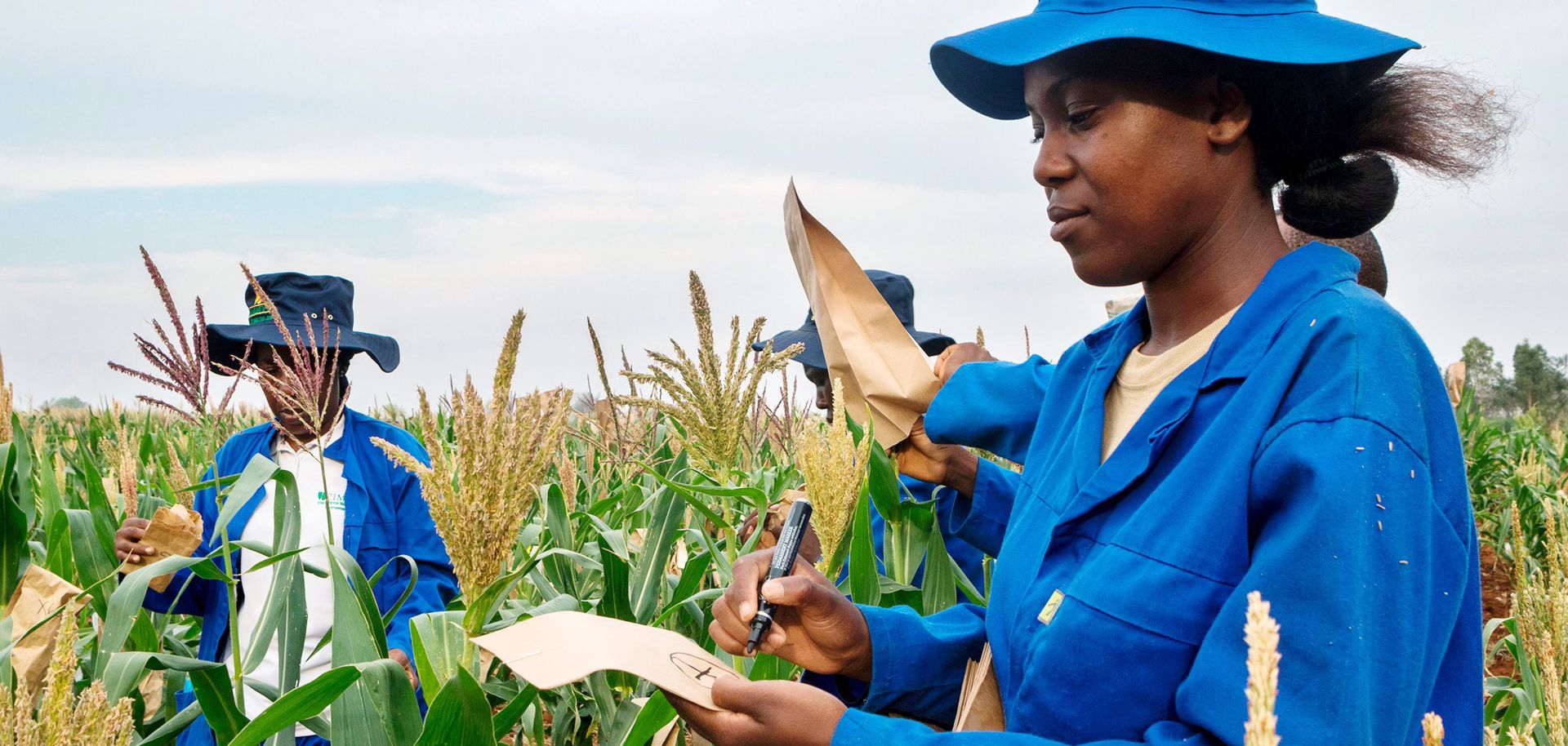 African Agriculture Plants the Seeds for Growth