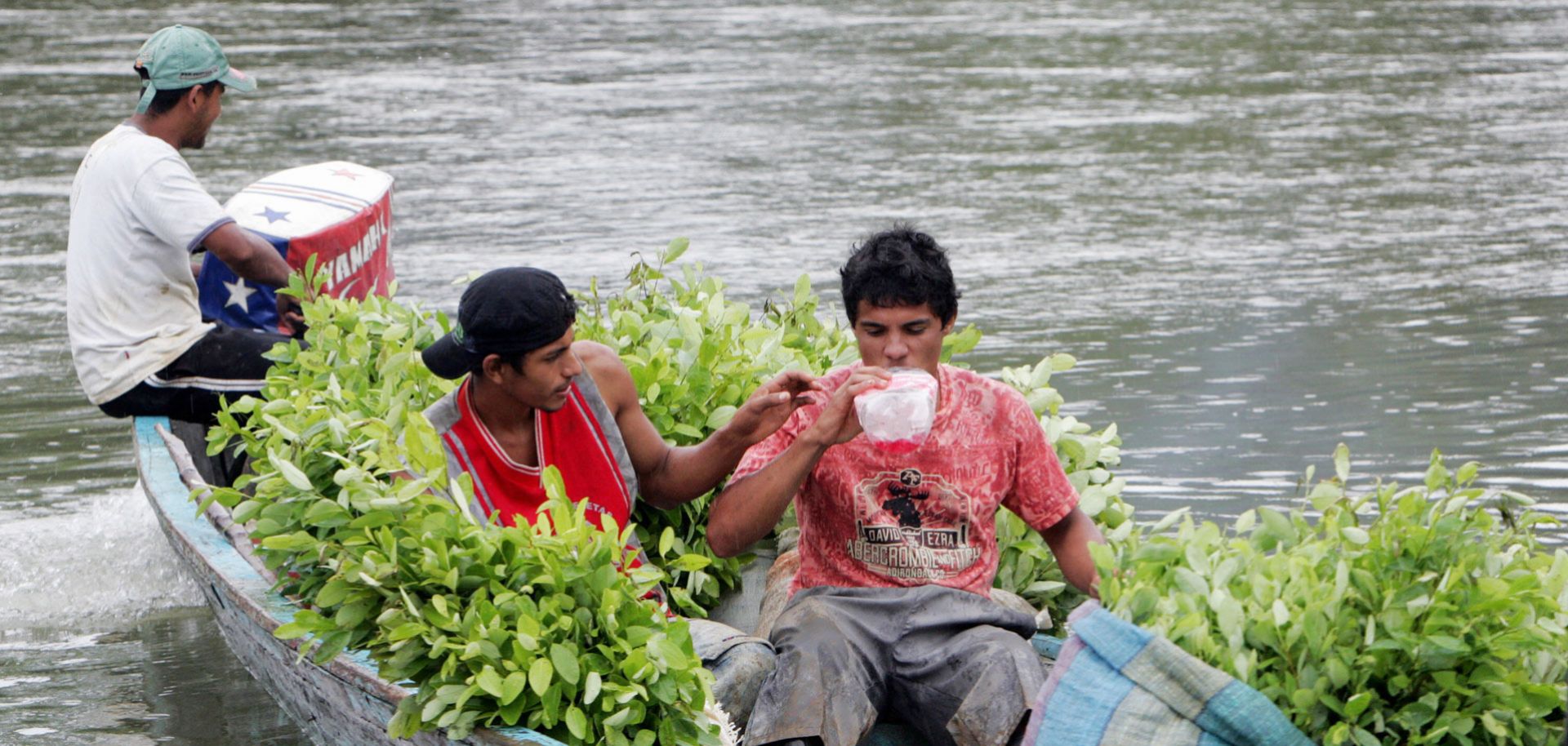 Colombia’s Drug Growers Get Organized