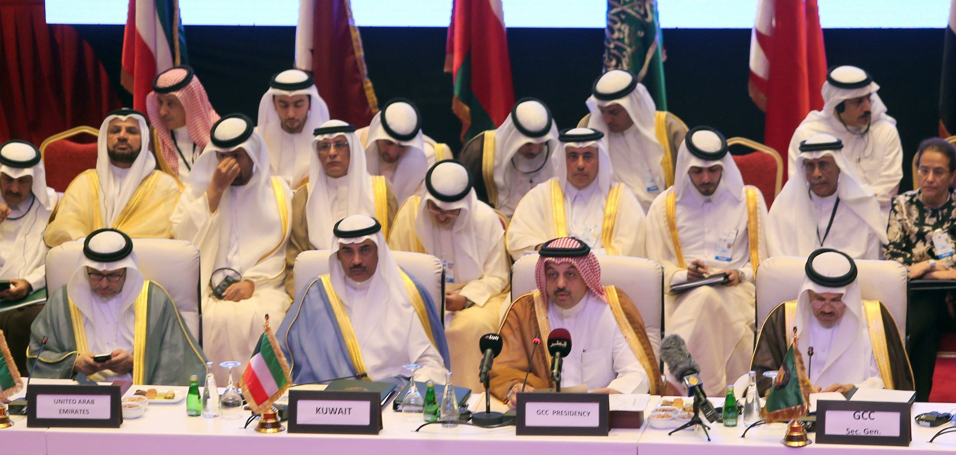 The combination of military and economic leadership within the Gulf Cooperation Council will keep it unified through a trying economic and political time.
