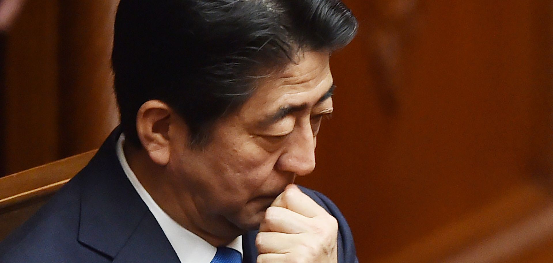 A State of Paralysis in Japan