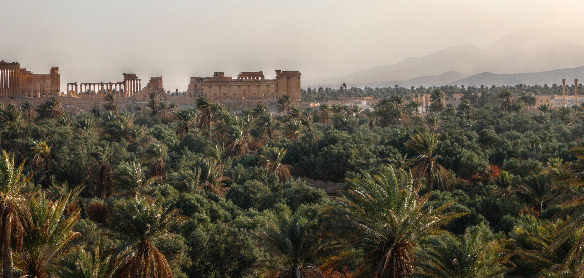 Palmyra, Homs Governorate.