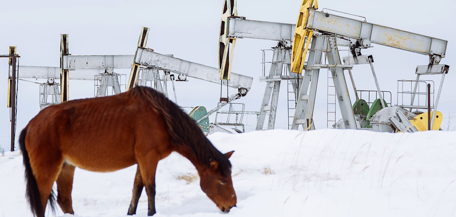 A horse grazes near oil pumpjacks outside the Russian city of Surgut on March 10, 2020. 