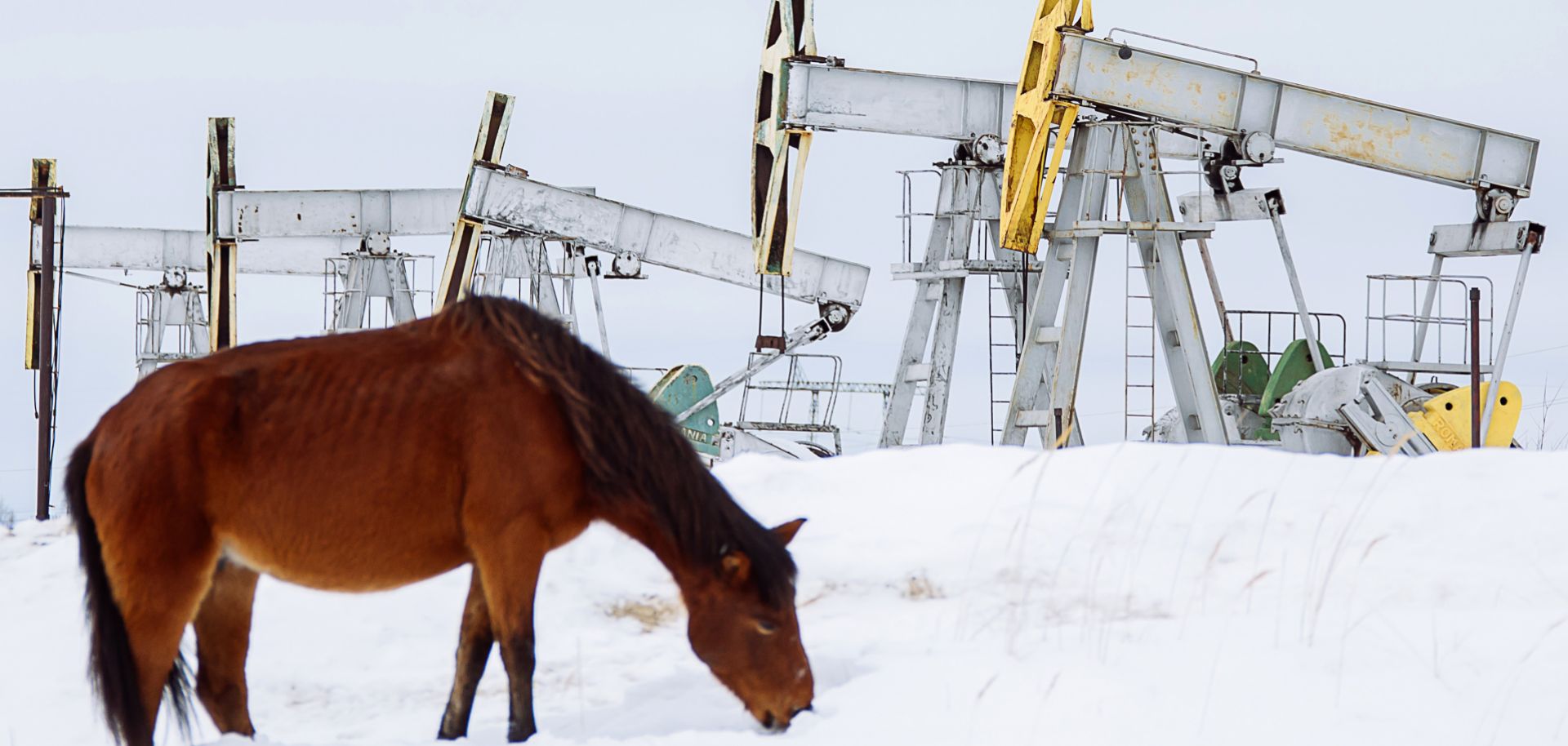 A horse grazes near oil pumpjacks outside the Russian city of Surgut on March 10, 2020.