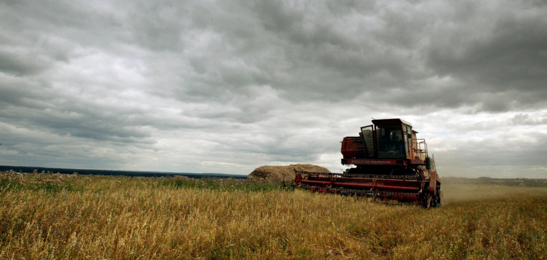 Russian agriculture, especially its wheat production, has provided its economy with trade revenue that goes beyond its reliance on mineral exports.