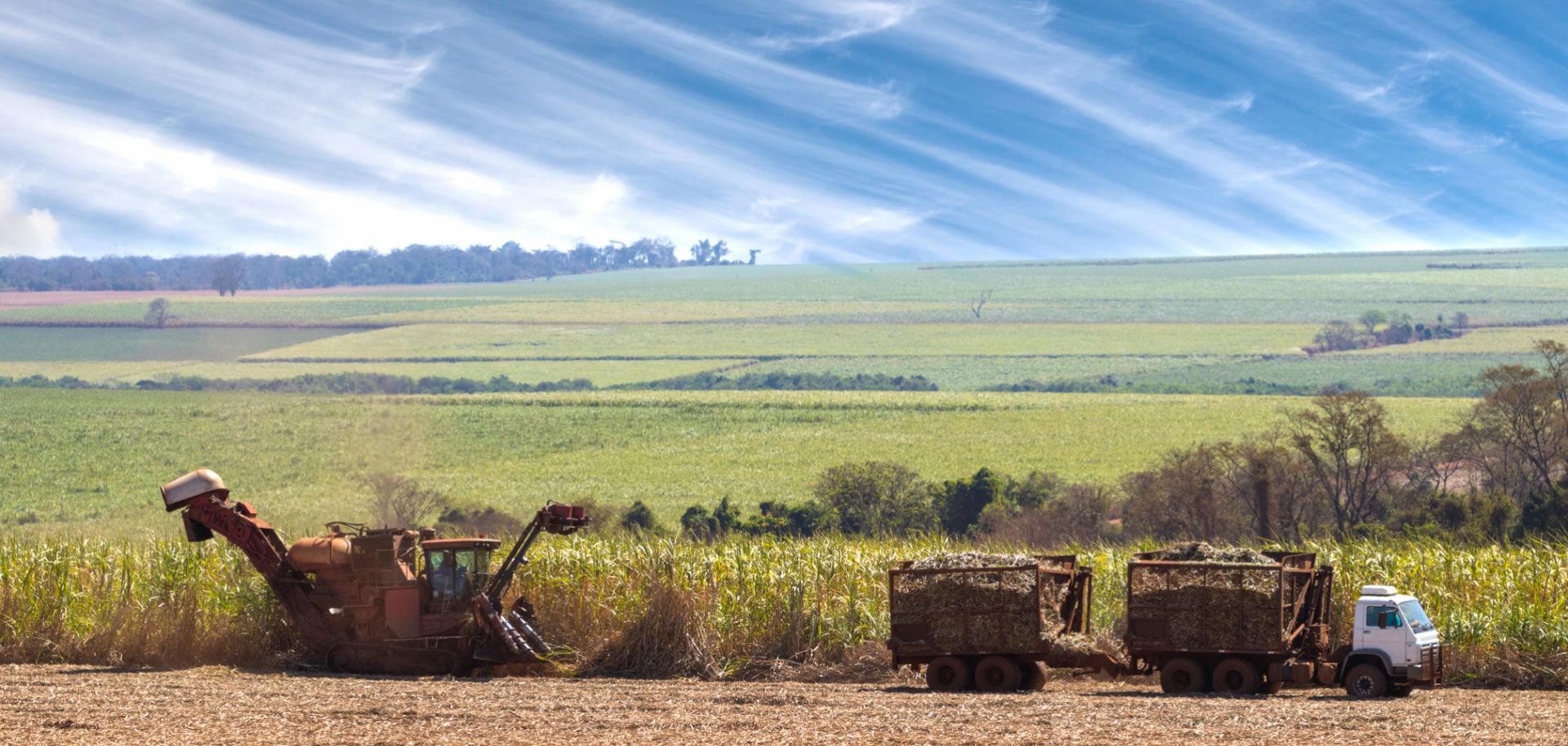 According to some estimates, the European Union's annual sugar imports will fall from 3 million metric tons (3.3 million tons) to 1.8 million metric tons by 2025 now that the bloc has lifted its production ceiling. European sugar exports, meanwhile, will nearly double from 1.3 million metric tons per year, where they have been capped for half a century. 