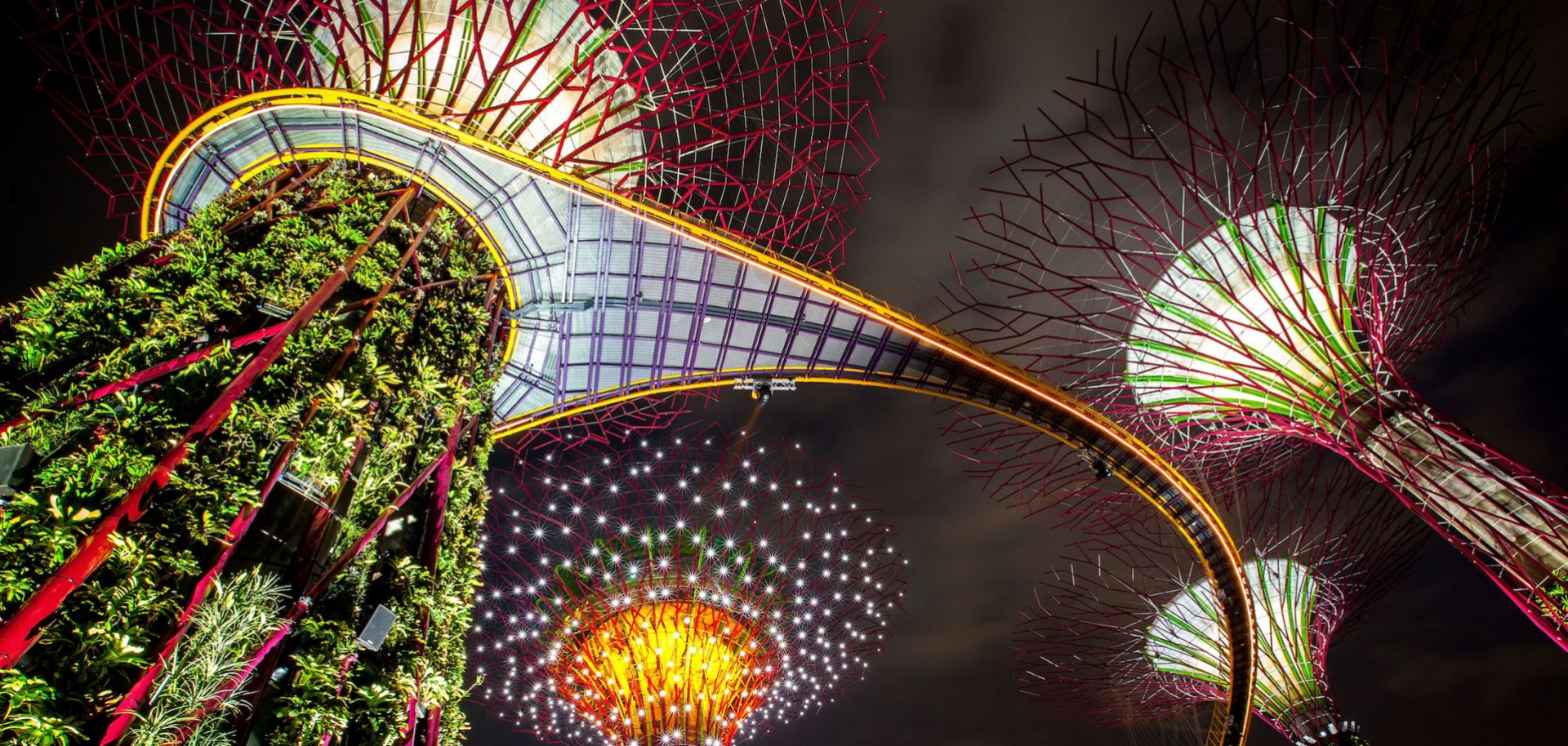 The illuminated Supertree Grove in Singapore