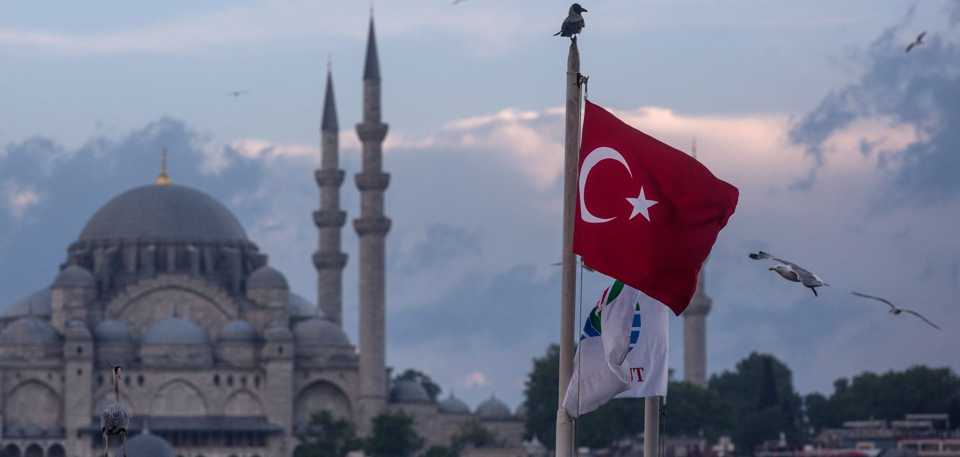 The Turkish flag flies in Istanbul as seagulls soar overhead. 
