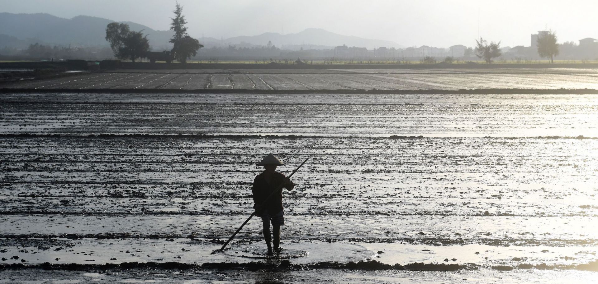 A farmer works in a rice field on the outskirts of the central Vietnamese city of Hue on Jan. 17. 