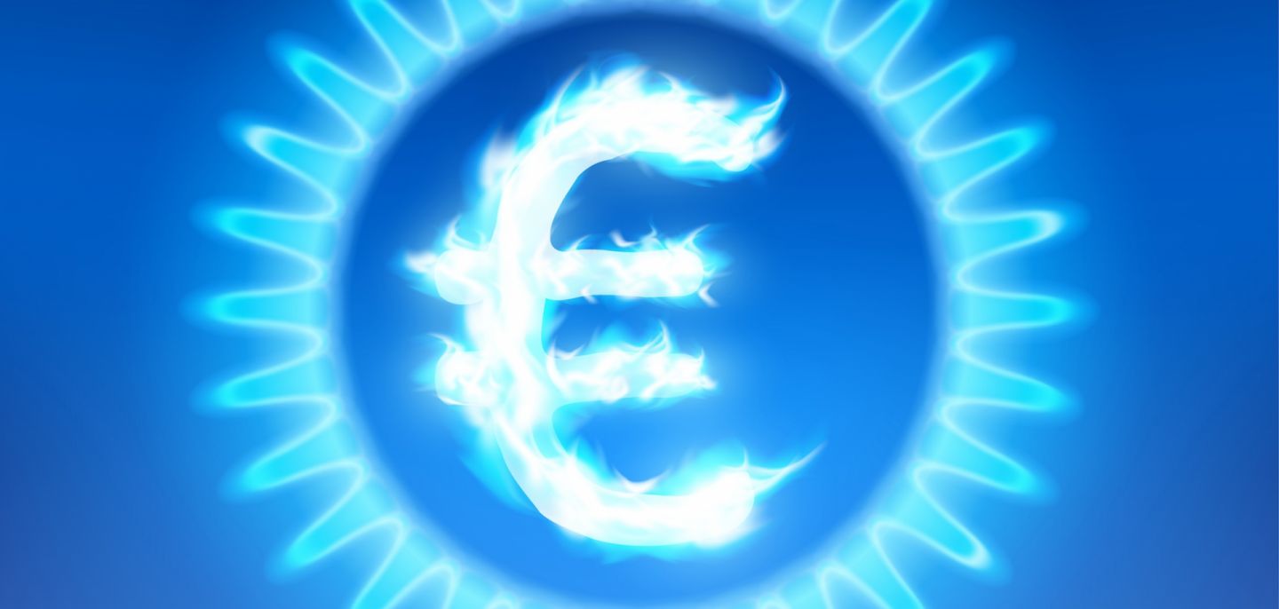 A digital illustration shows the euro currency symbol burning with a blue flame inside a gas stove. 