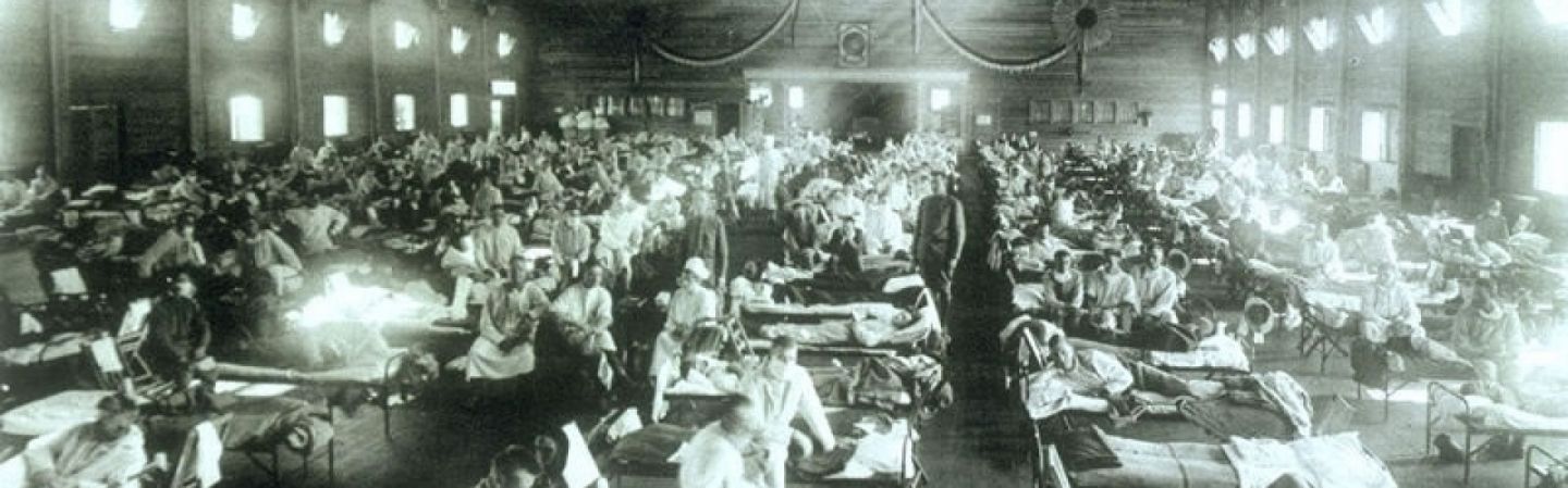 другие пандемии