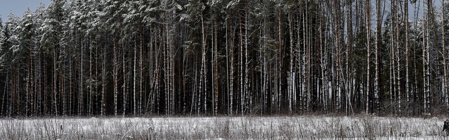 Eurasia connects the East to the West, forming a land bridge that borders Europe, the Asia-Pacific, the Middle East and South Asia. 